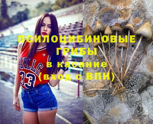не бодяженный Горняк