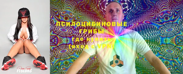 эйфоретик Горнозаводск