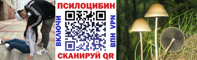 Галлюциногенные грибы MAGIC MUSHROOMS  Плавск 